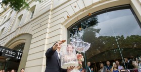 Release Butterflies at your Wedding