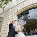 Release Butterflies at your Wedding